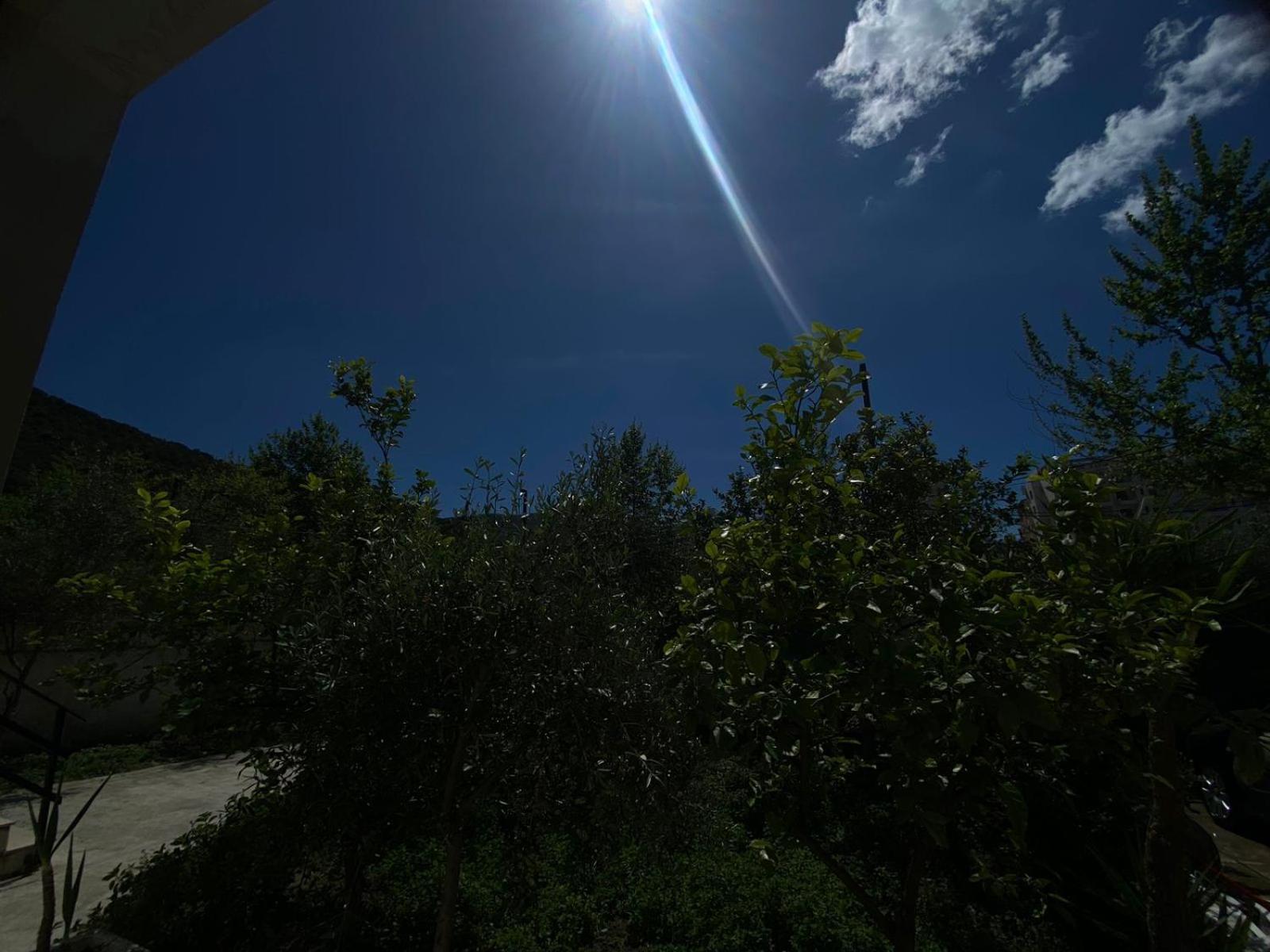 Jon Daire Avlonya Oda fotoğraf